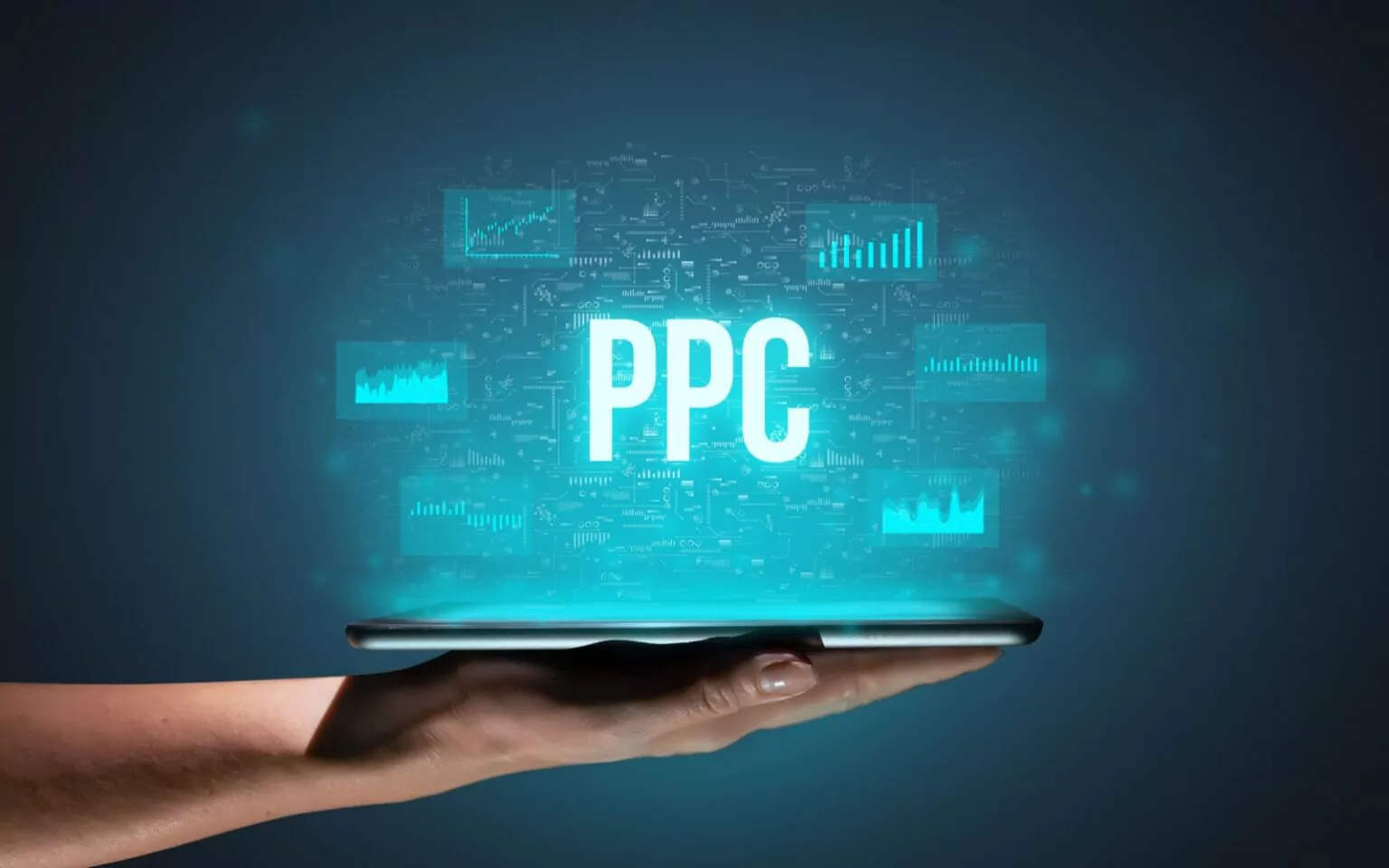 PPC Dashboard Visual